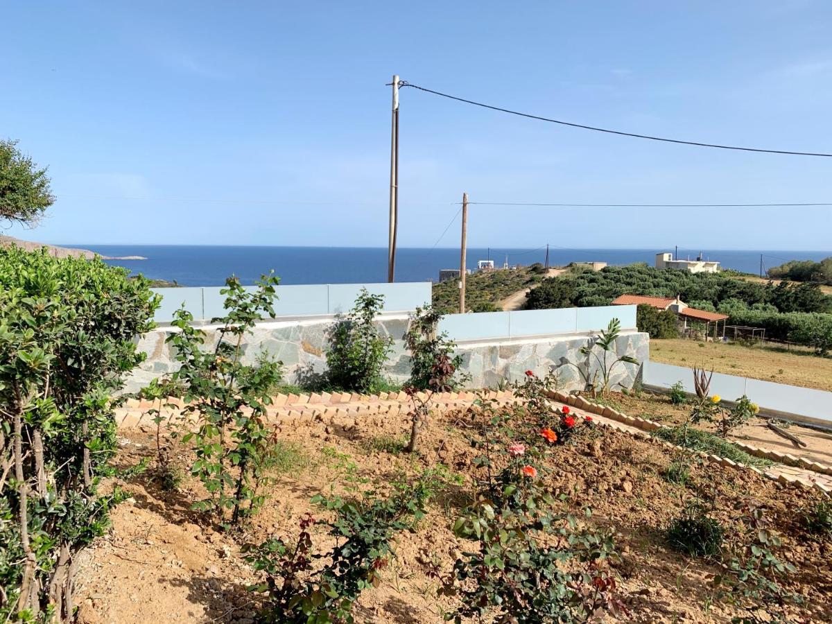 Yamina Sea View Residence Αγία Πελαγία  Εξωτερικό φωτογραφία